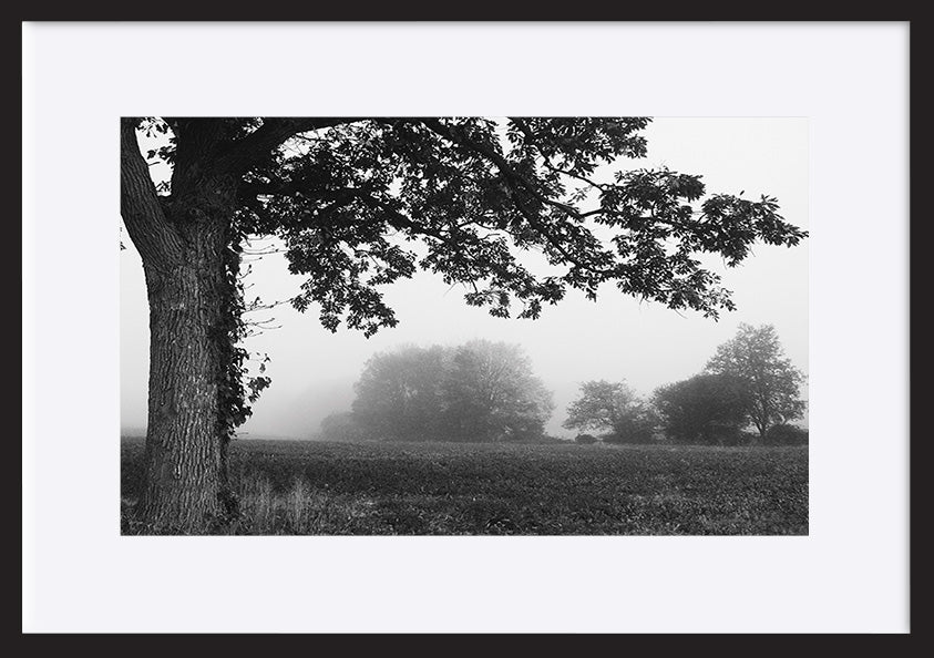 paper_frame
