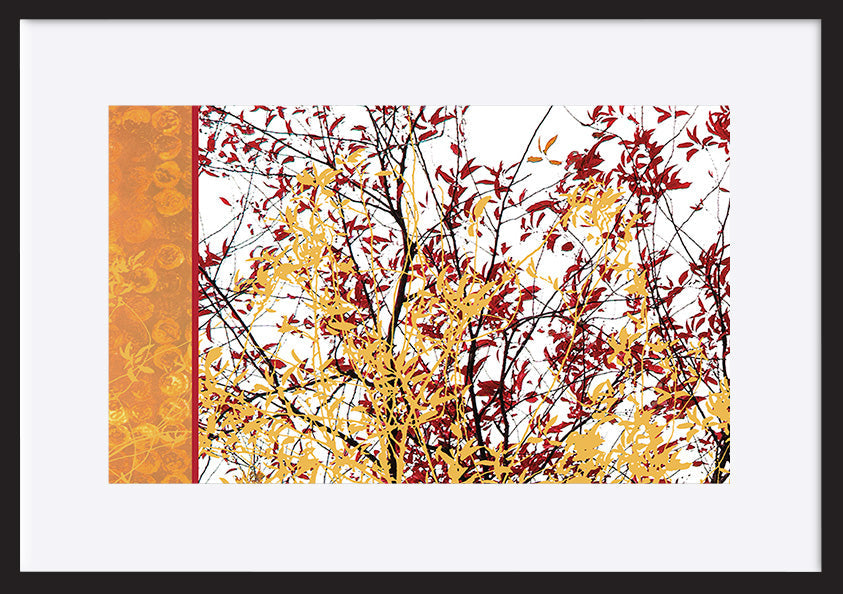 paper_frame
