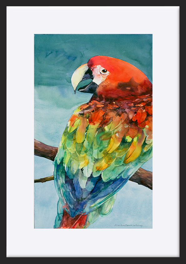 paper_frame