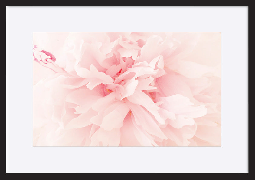 paper_frame