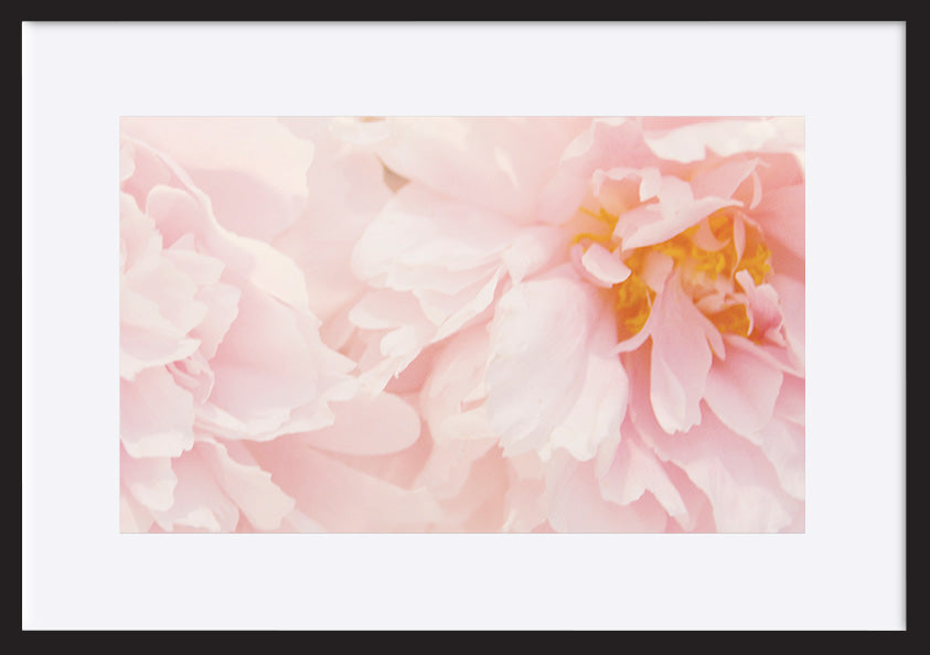 paper_frame