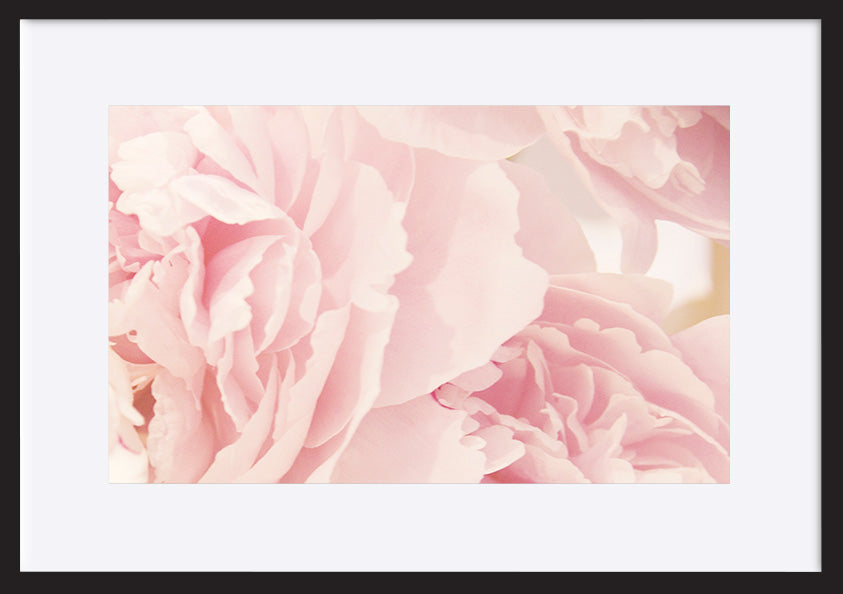 paper_frame