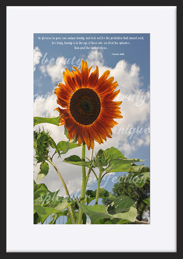 paper_frame