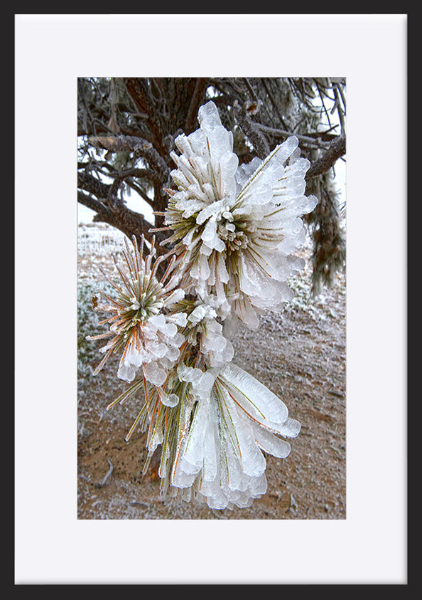 paper_frame