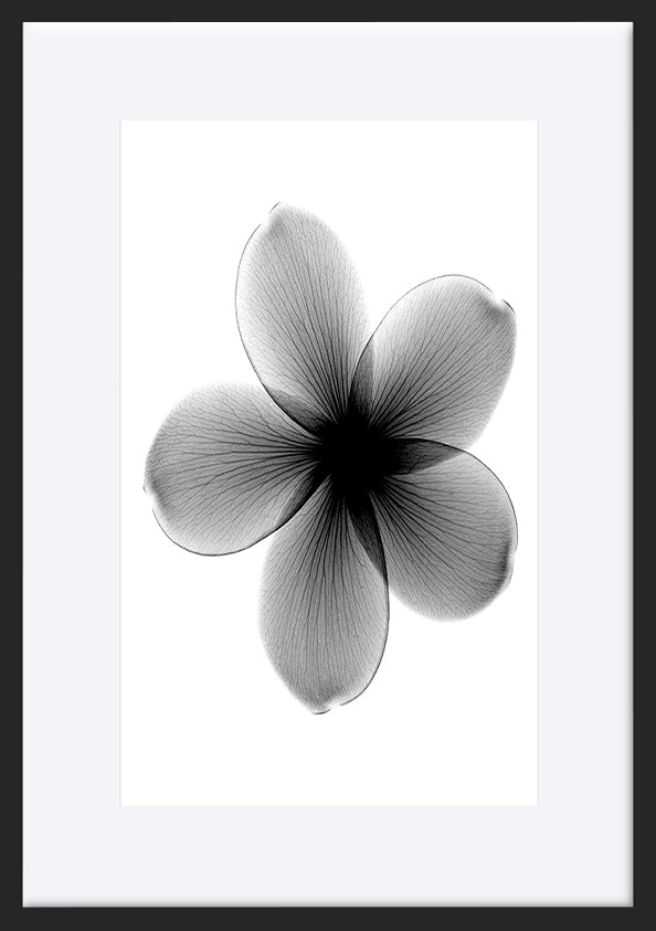 paper_frame