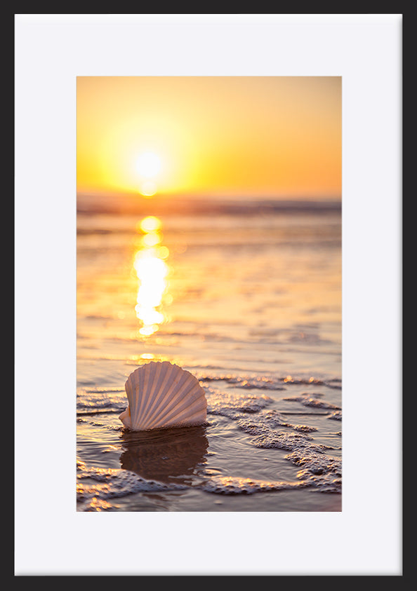 paper_frame