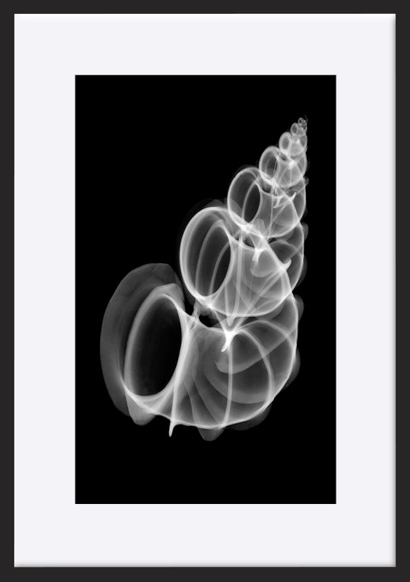 paper_frame