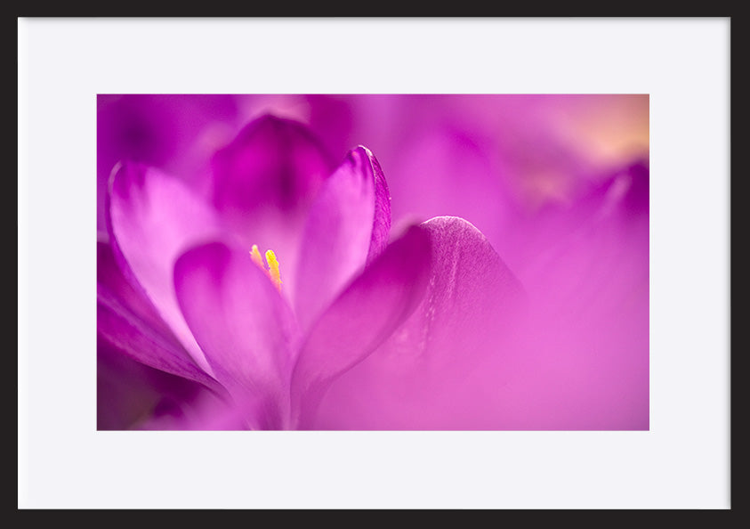 paper_frame
