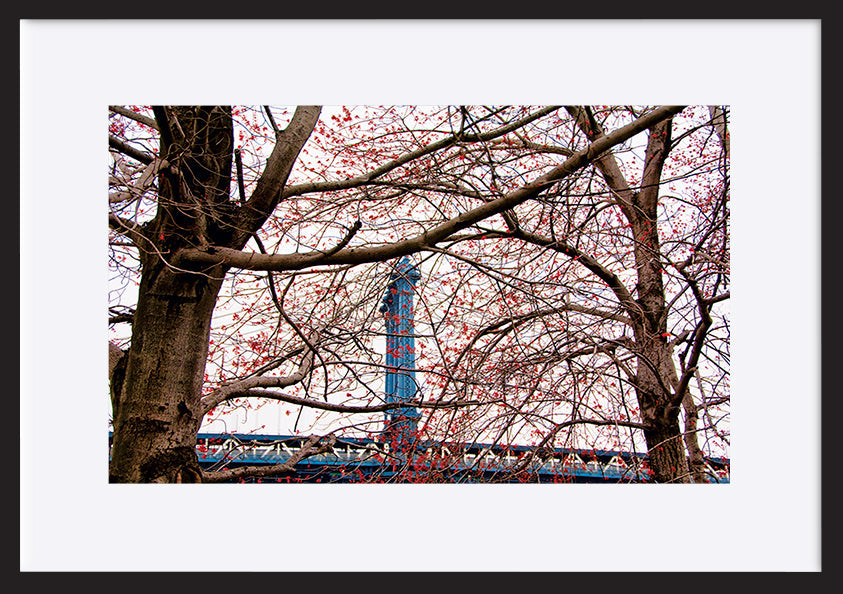 paper_frame