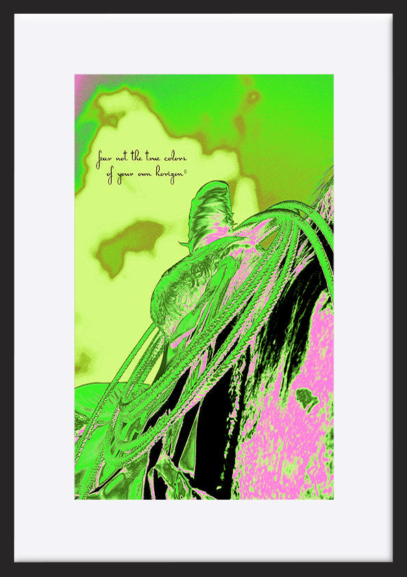 paper_frame