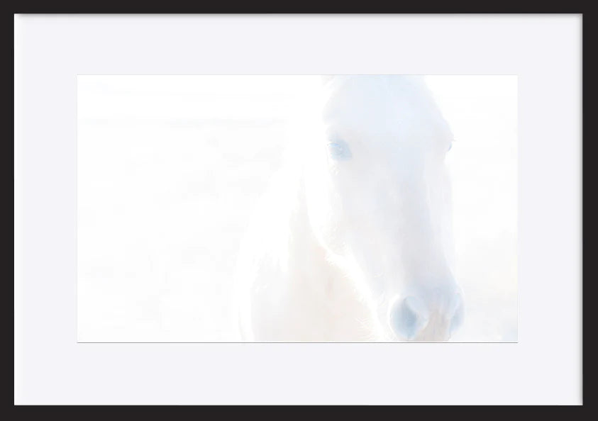 paper_frame