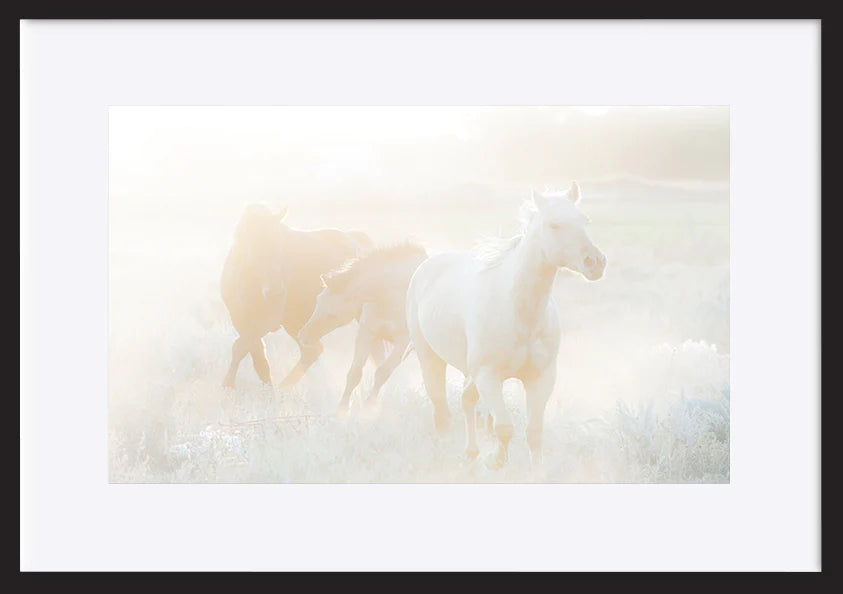 paper_frame