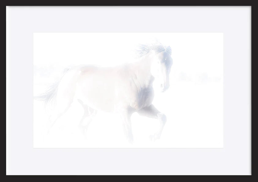 paper_frame