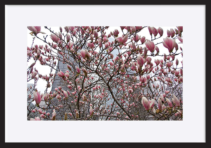 paper_frame