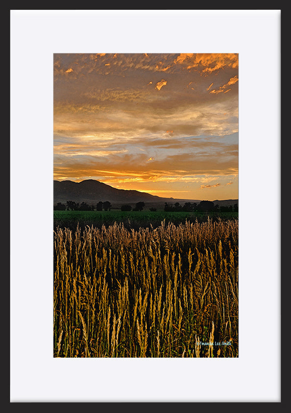 paper_frame