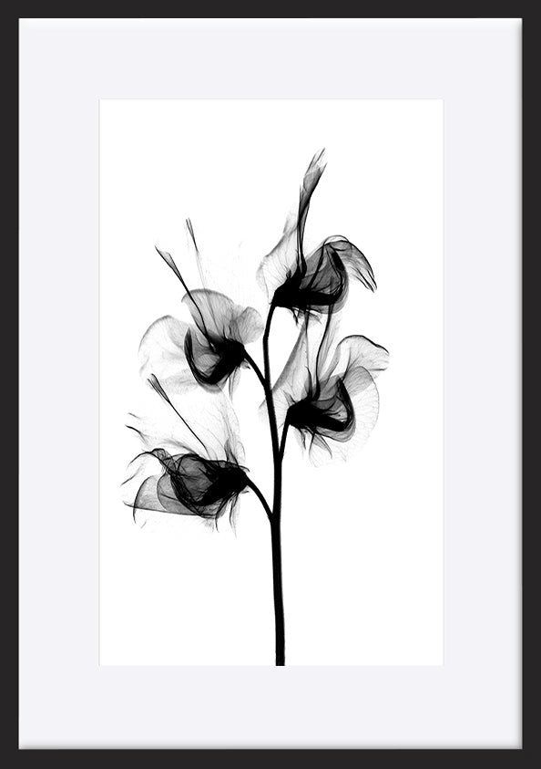 paper_frame