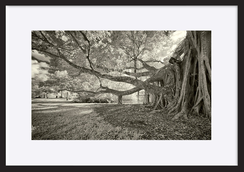 paper_frame
