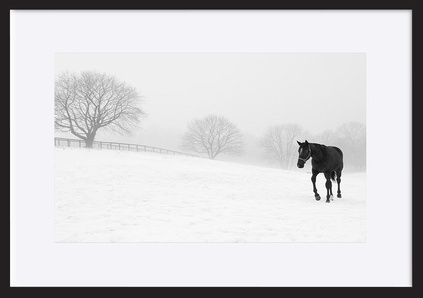 paper_frame