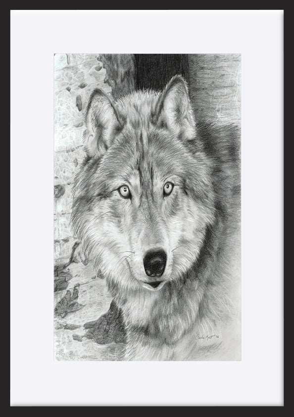 paper_frame