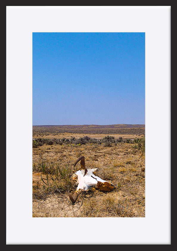 paper_frame