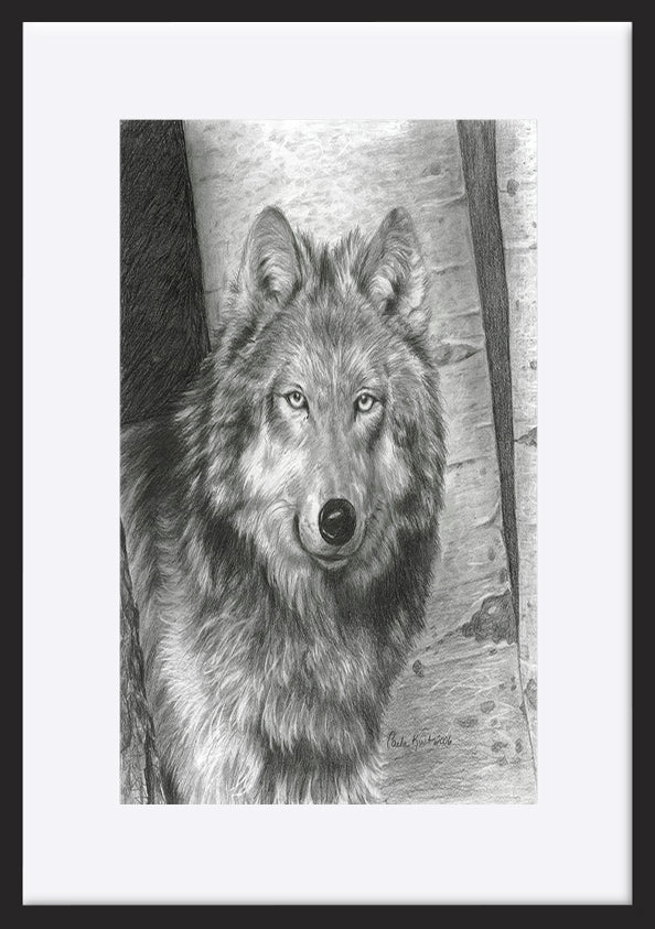 paper_frame