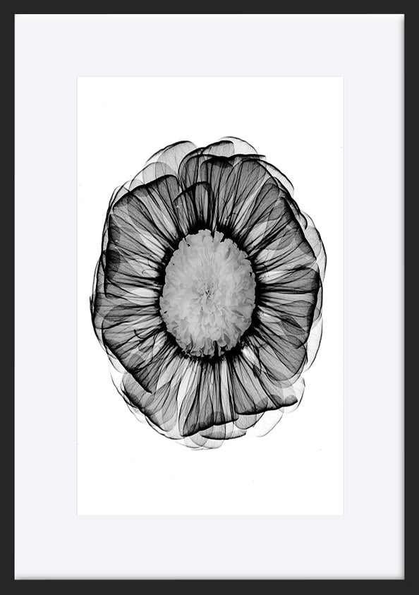 paper_frame
