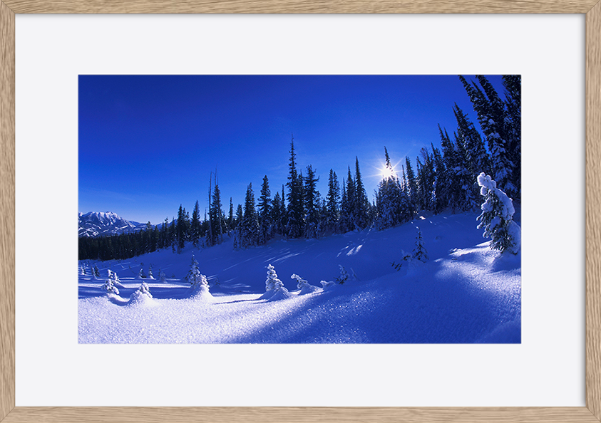 paper_frame