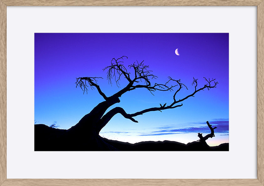 paper_frame