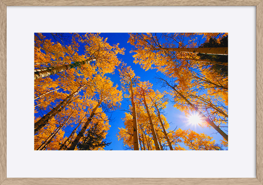 paper_frame