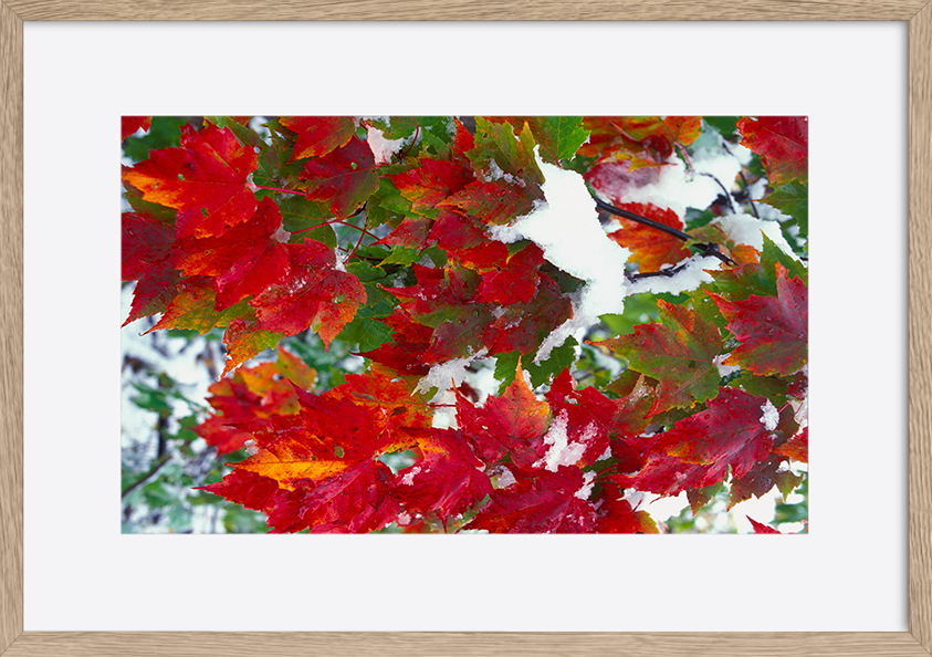 paper_frame