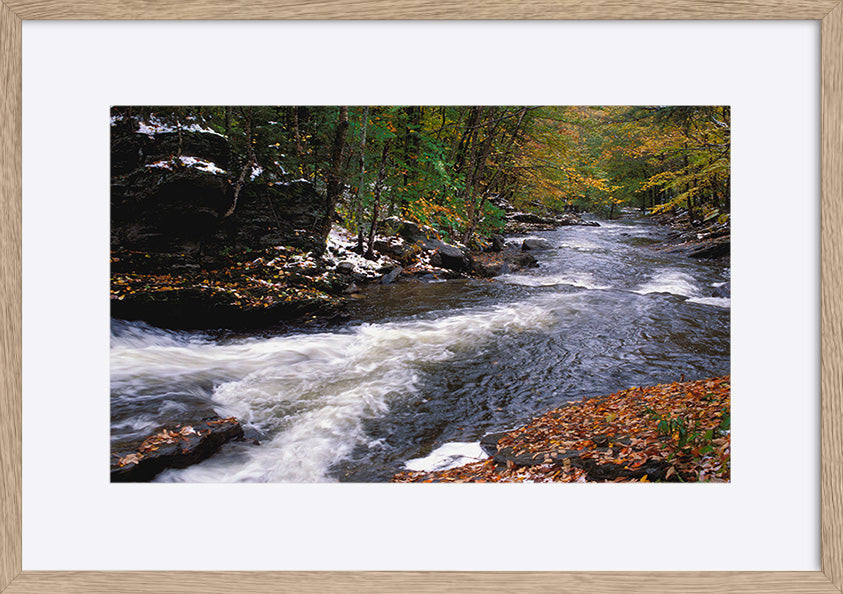 paper_frame