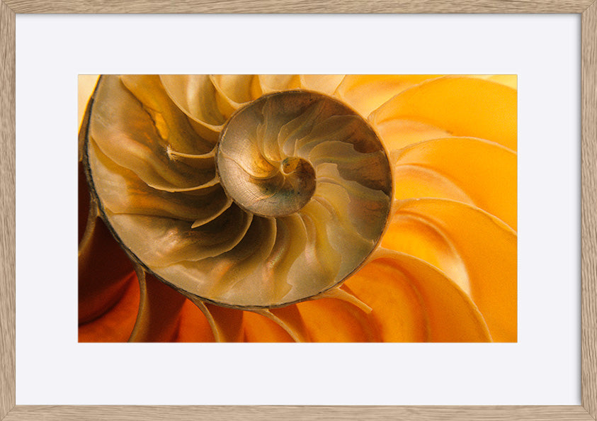 paper_frame