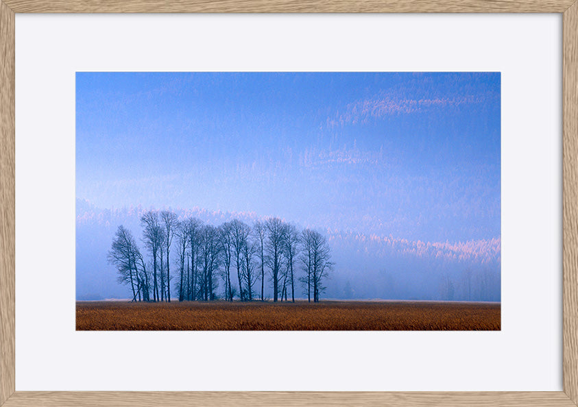 paper_frame