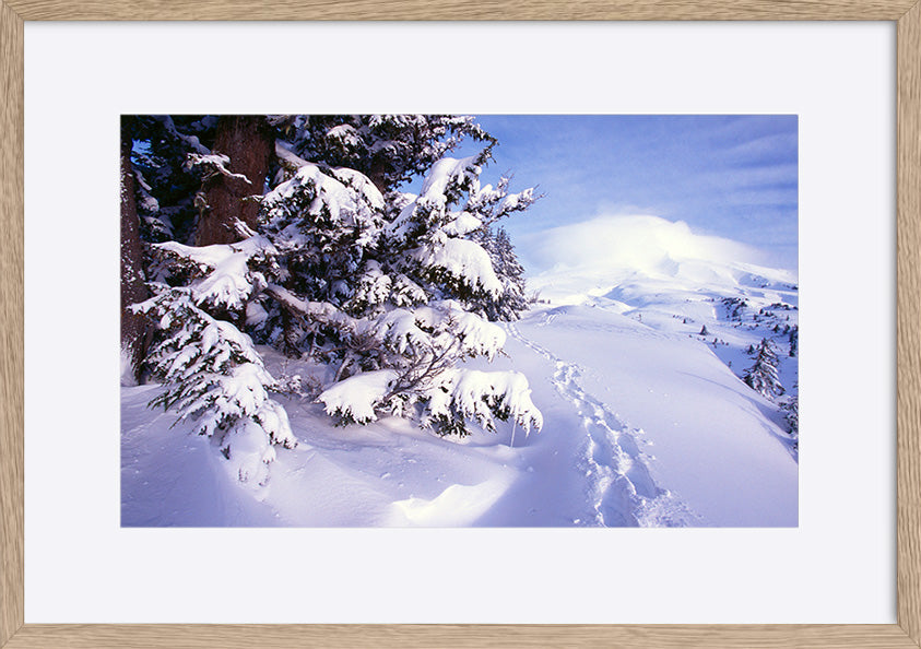 paper_frame