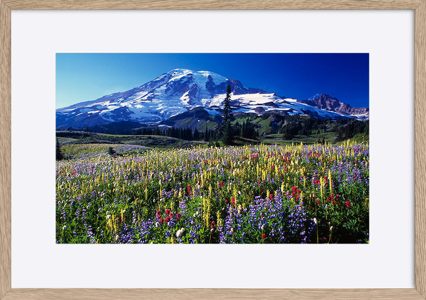 paper_frame