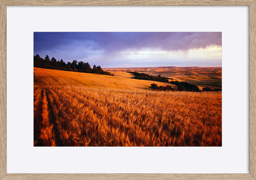 paper_frame