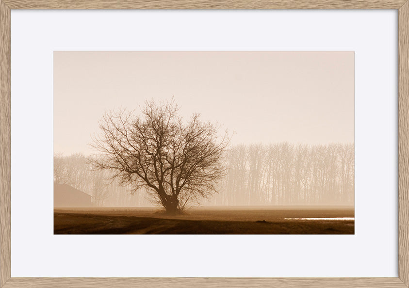 paper_frame