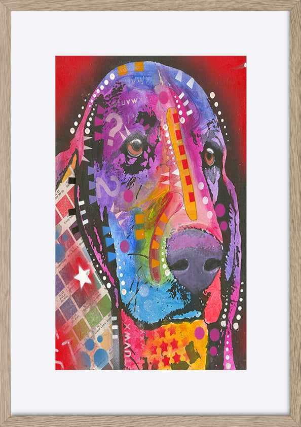 paper_frame