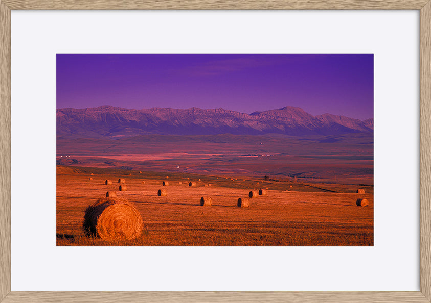 paper_frame