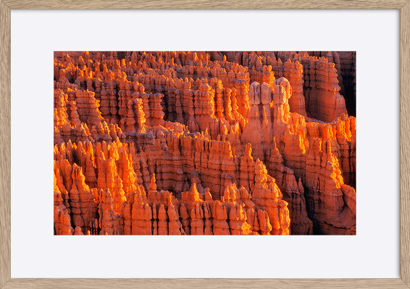 paper_frame