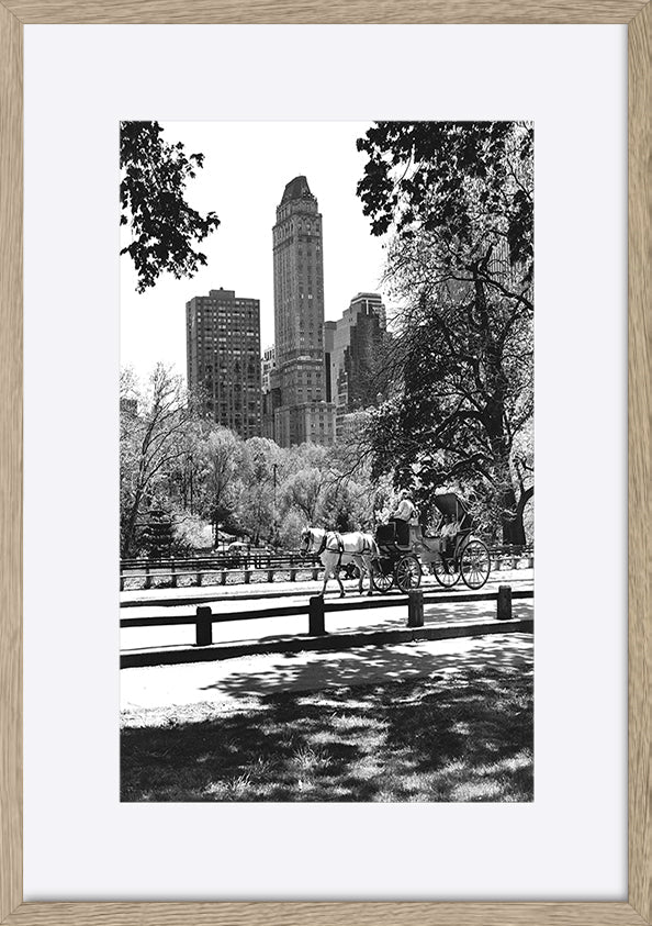 paper_frame