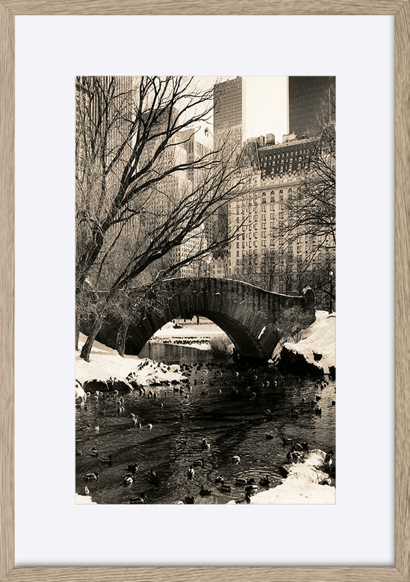 paper_frame