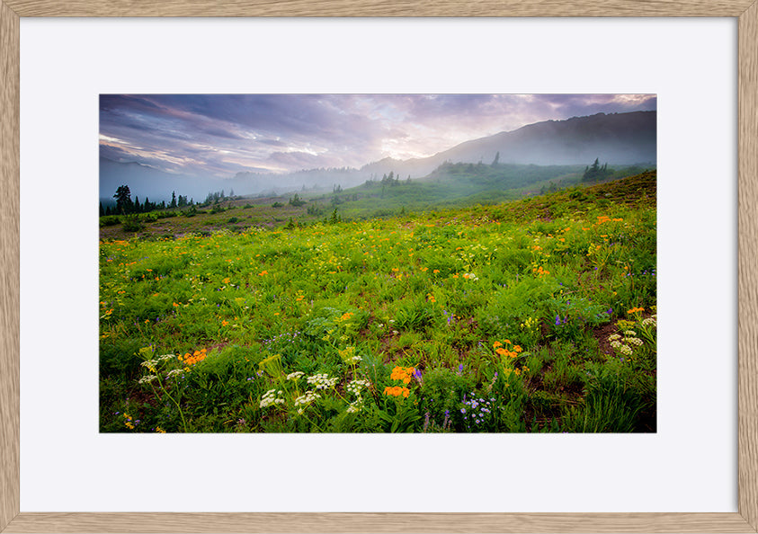 paper_frame