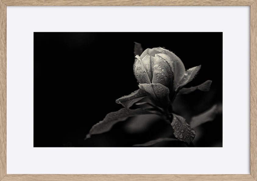 paper_frame