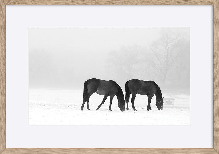 paper_frame