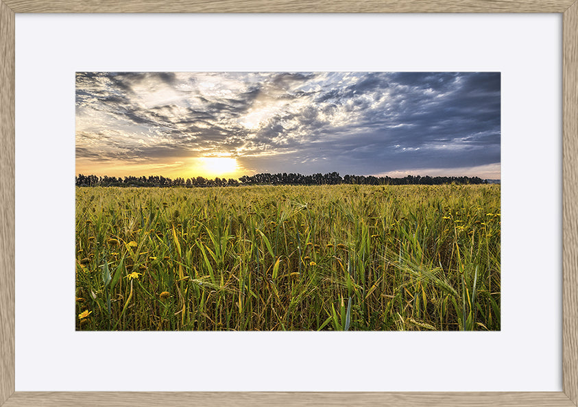 paper_frame