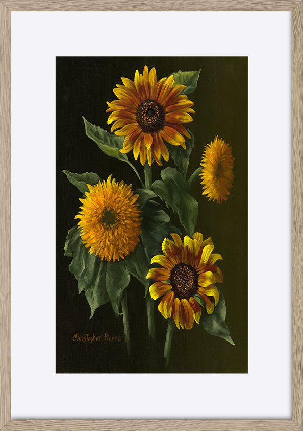 paper_frame