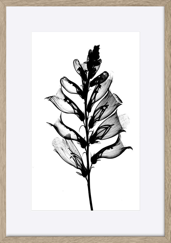paper_frame