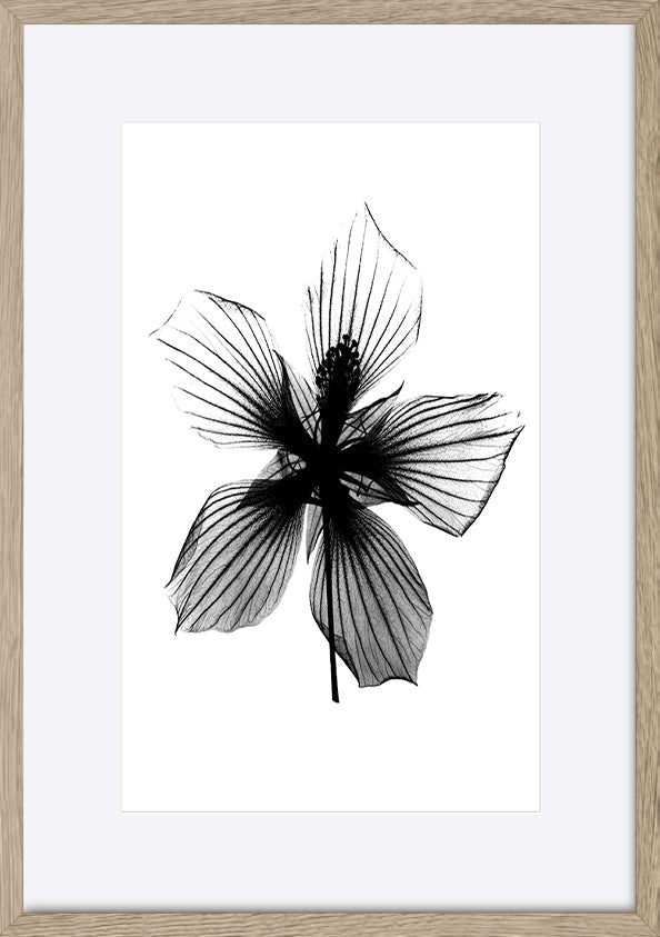 paper_frame
