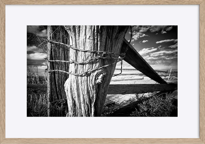 paper_frame